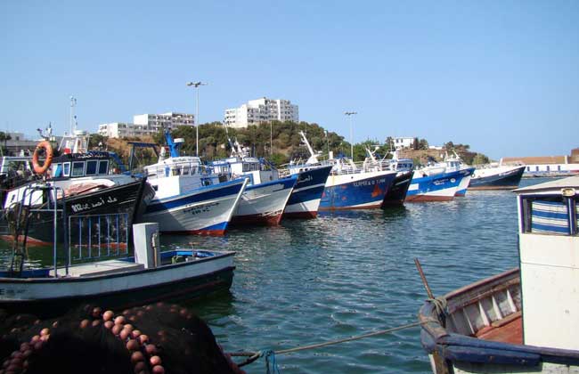 L’Algérie prévoit d’exporter des navires de pêche vers des pays africains et arabes
