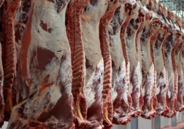 Viande rouge : plusieurs quantités importées par des opérateurs privés